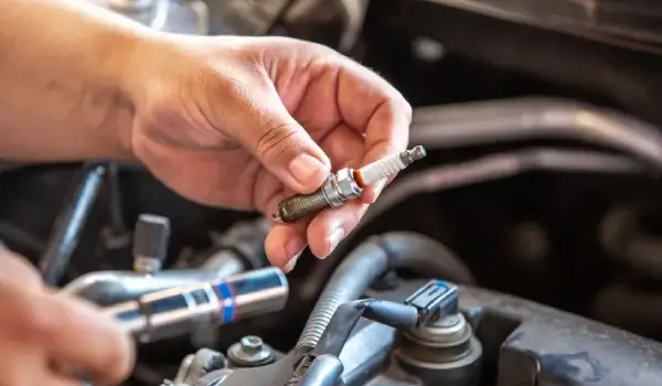 هلدینگ محمدی، بزرگترین نمایندگی بهمنموتور و کرمان موتور فارس