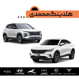 هلدینگ محمدی